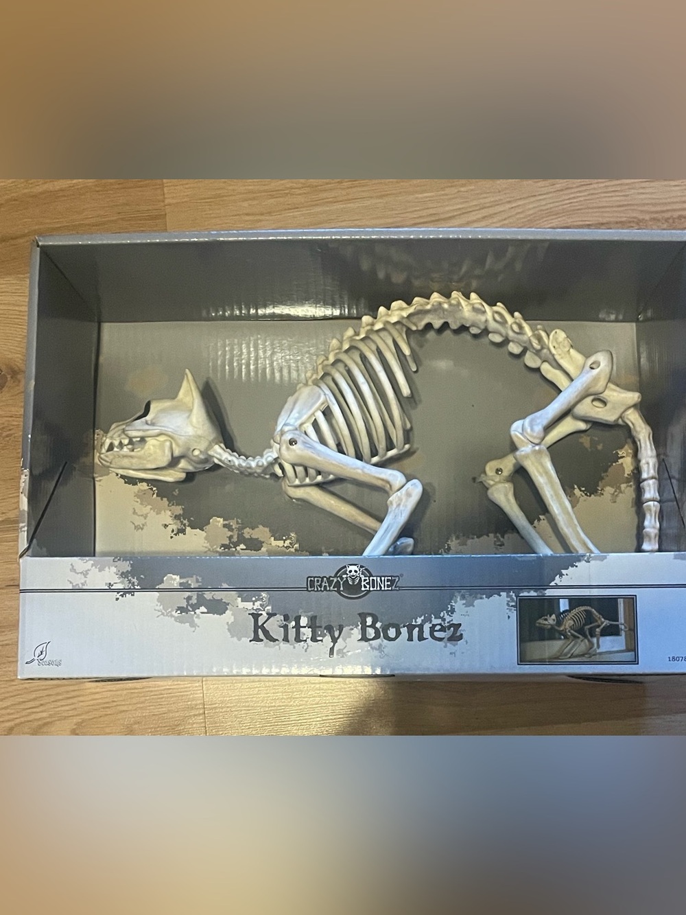 Kitty Bonez Skeleton Cat Halloweem skulls New